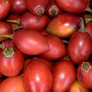 Tree tomato/ Tamarillo Inti Tropicals SAS